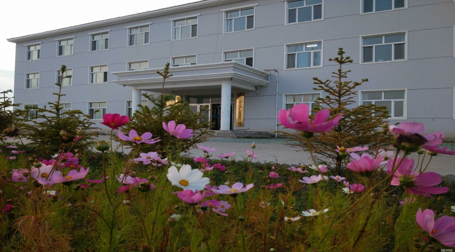 内蒙古陈巴尔虎旗天宝矿业采空区微震监测